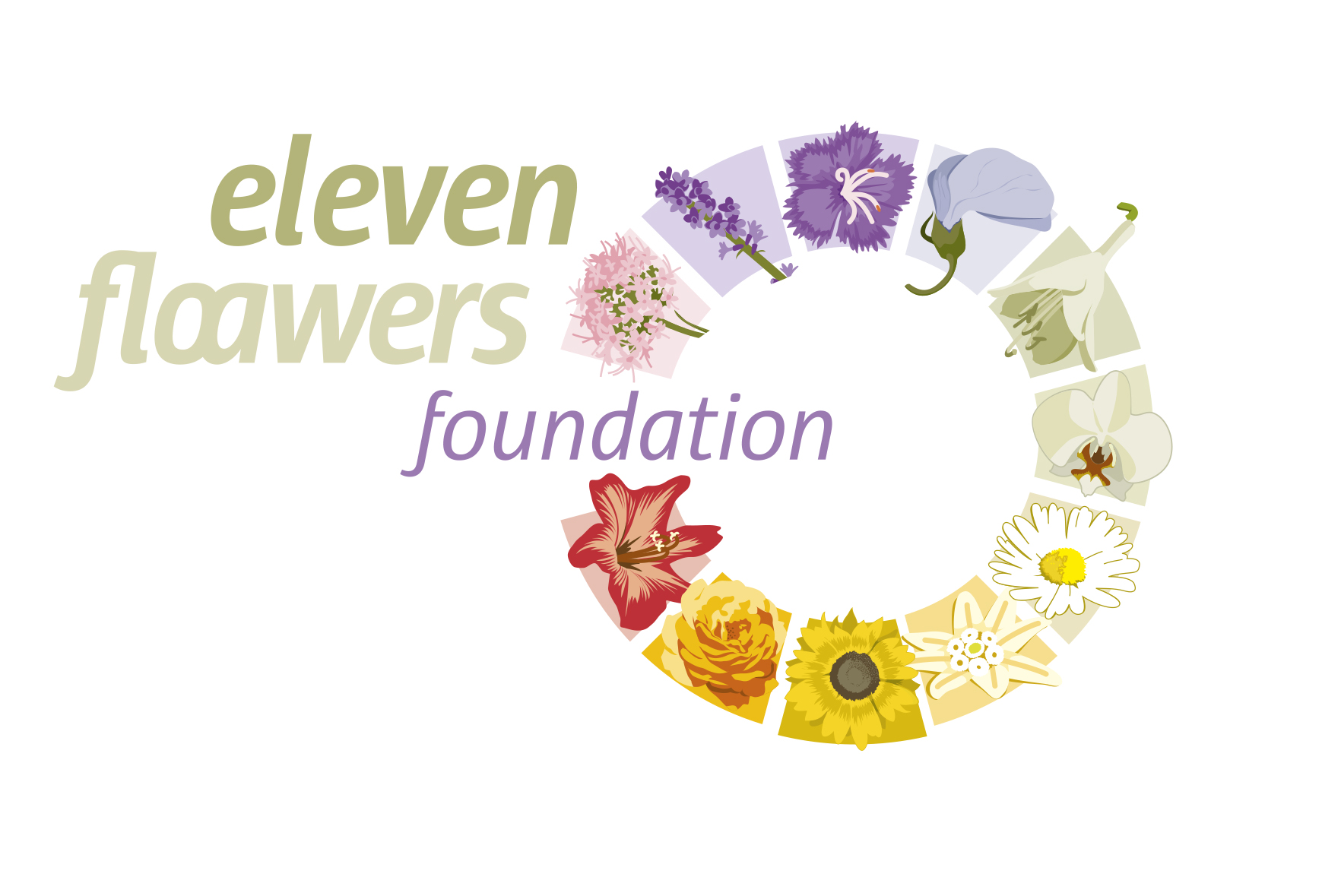 eleven floawers foundation